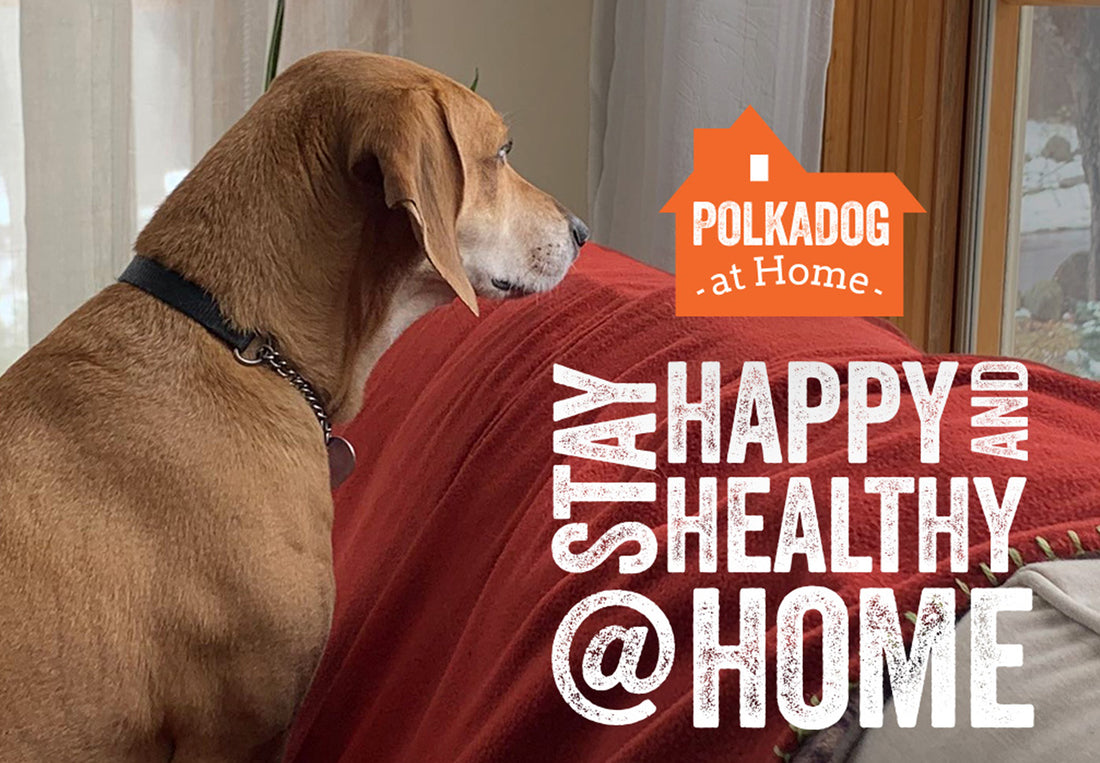 Polkadog at Home