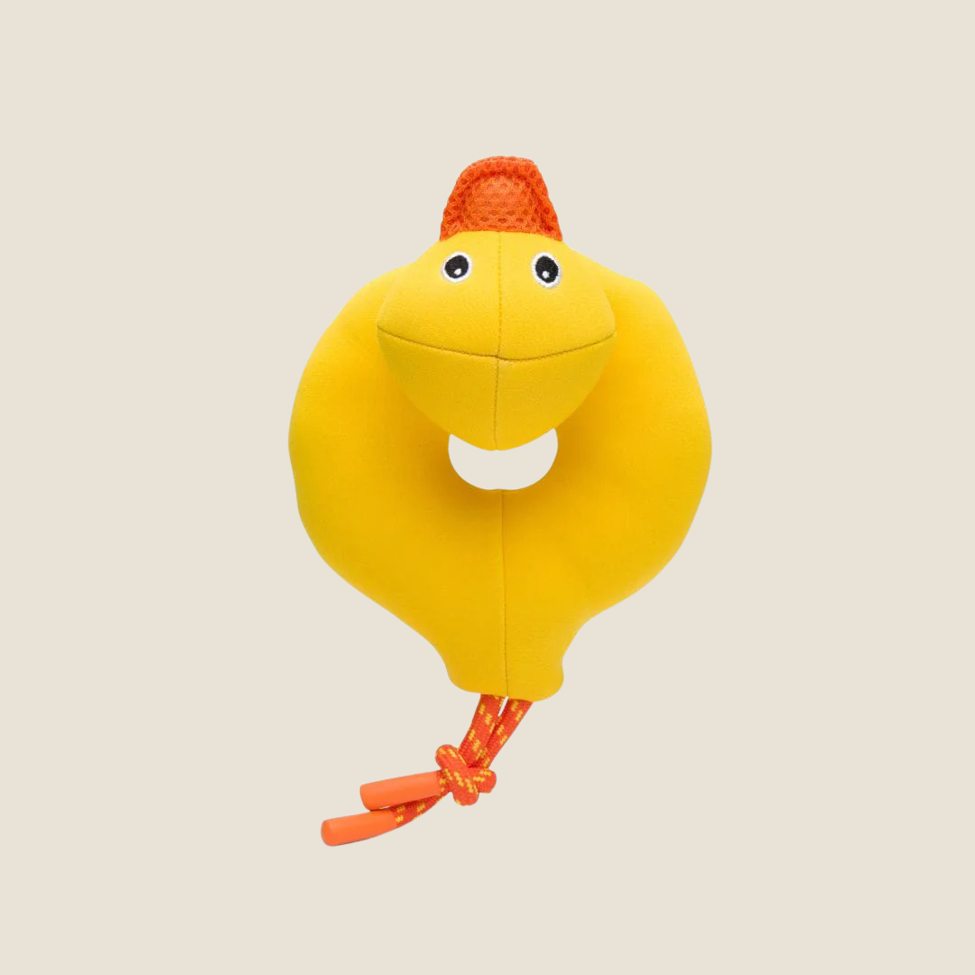 Fabdog - Floatie Duck