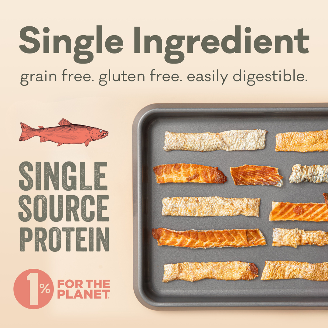 Polkadog Salmon Skins Shorties