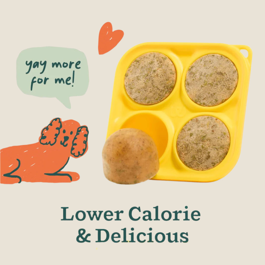 Woof - Pupsicle Treat Mix