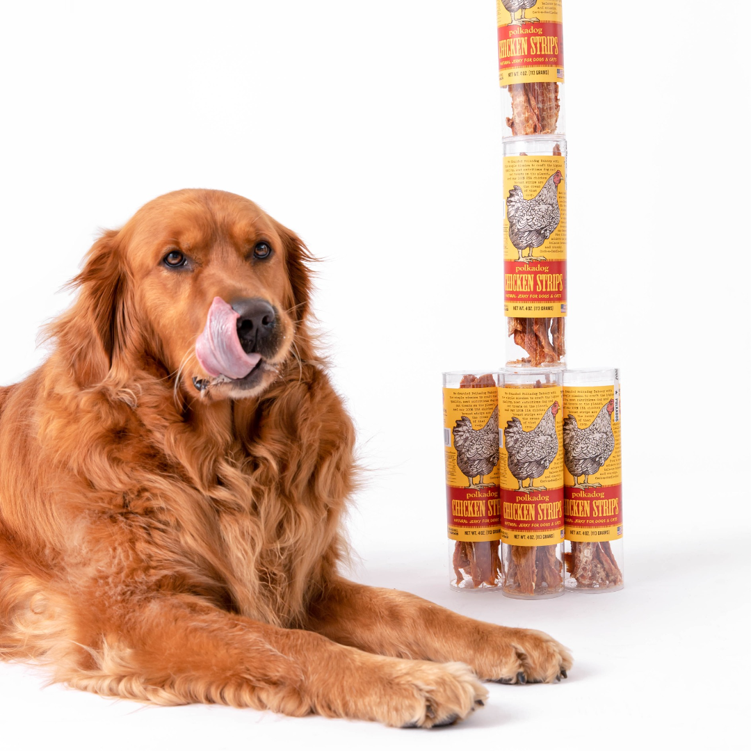 Chicken Strip Jerky for Dogs Polkadog