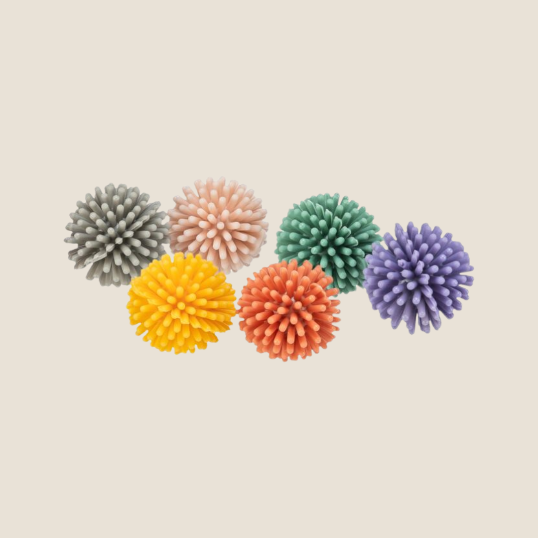 Trixie - Hedgehog Ball