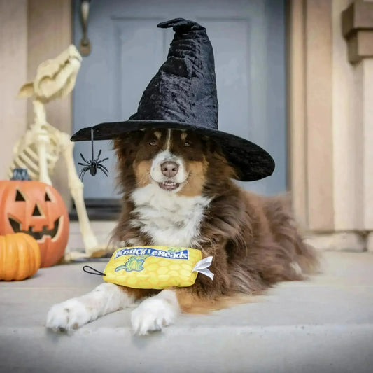 Huxley & Kent - Knuckleheads