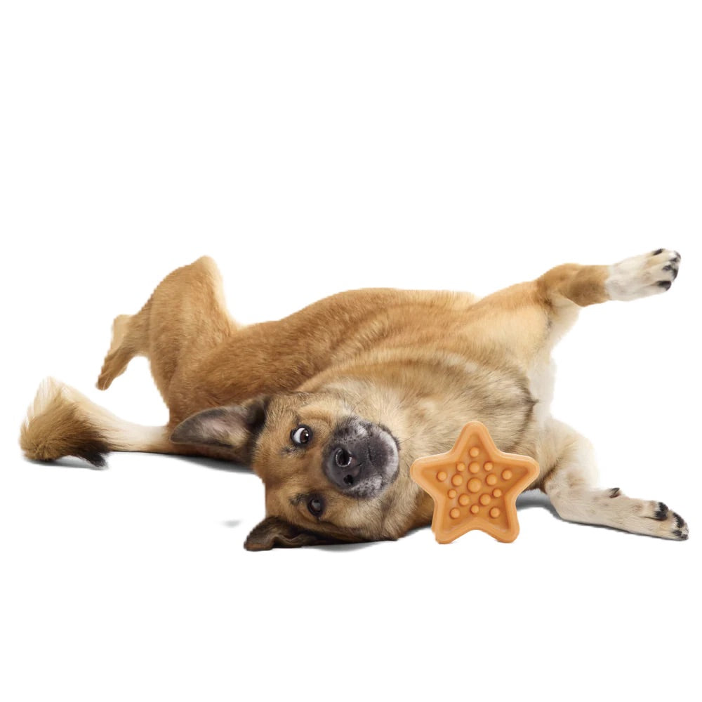 Bark - Starfish Snacker