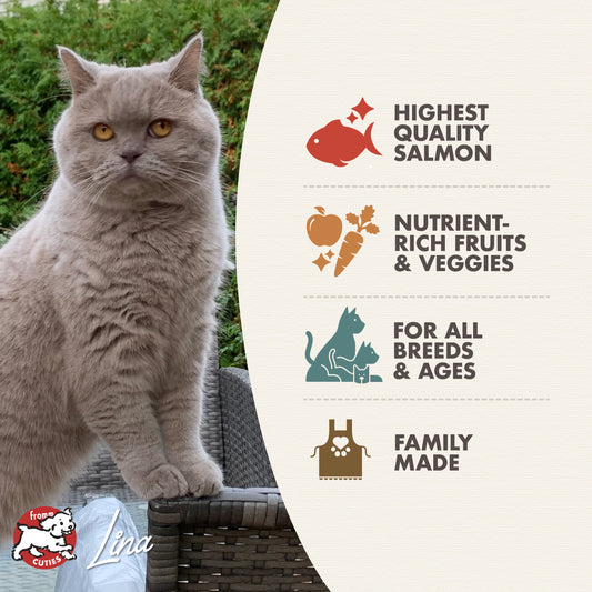 Cat sitting outdoors with a product label about salmon, fruits, veggies, all breeds, and family made on a white background.