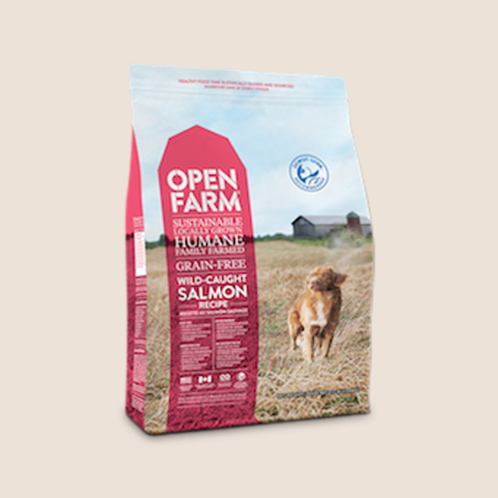 Beautiful view of Wild Caught Salmon Grain Free Dog Food For Puppies