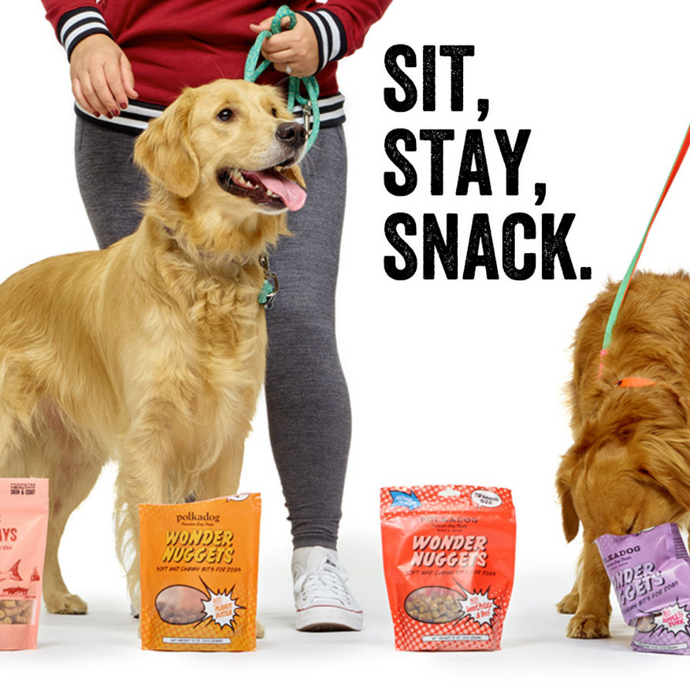 Sit, Stay, Snack: The importance of training your dog