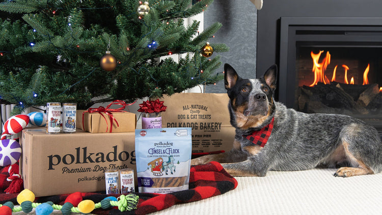 Polkadog Holiday Collection