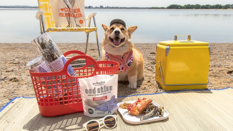 Clam Bake Essentials