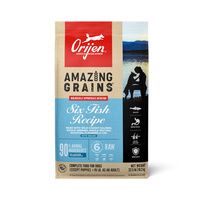 Orijen dog food package with 'Amazing Grains' and 'Six Fish Recipe' text on a white background