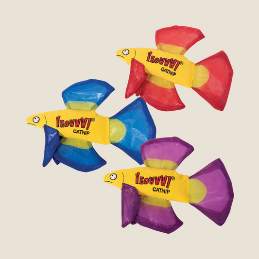 Yeowww! - Mo Betta Fish
