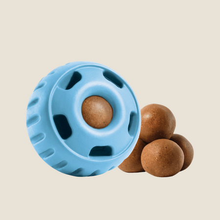 bogie 波奇　oc pup オリジナル 1_f7f86db5-7c45-4f8d-9680-