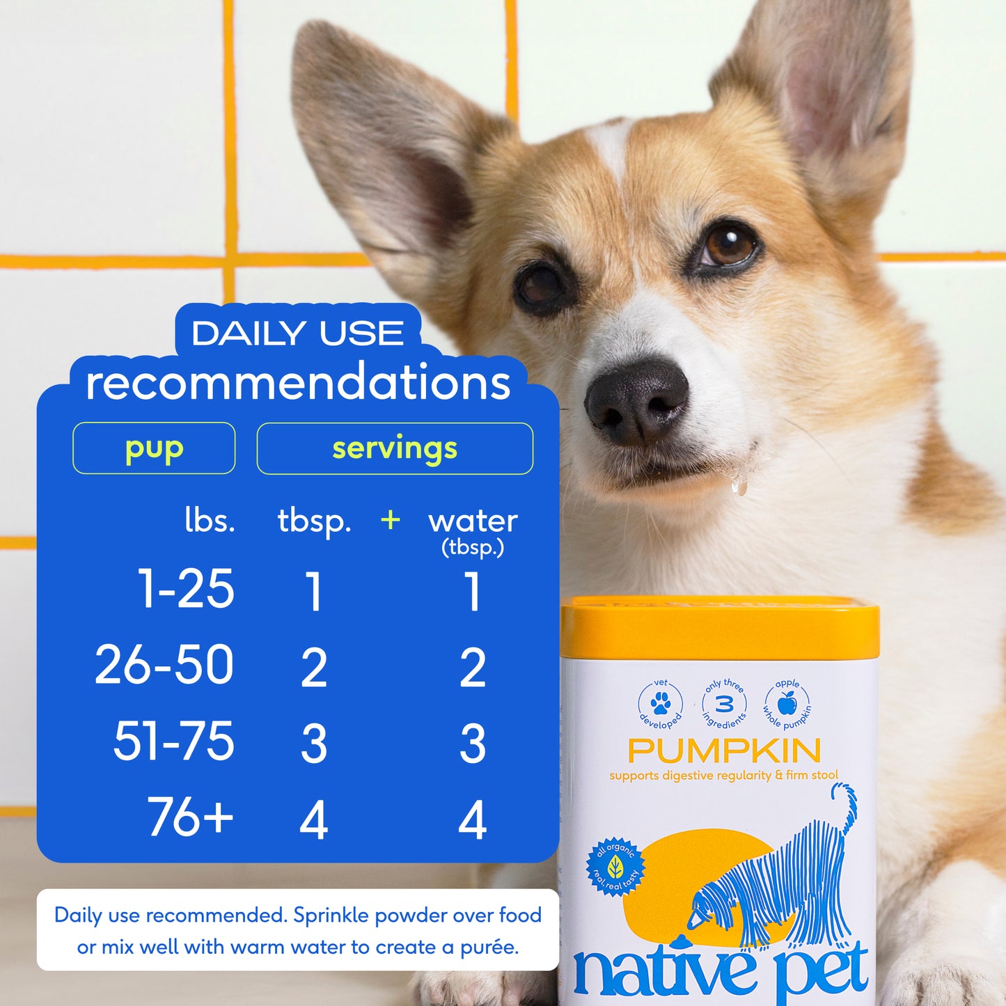 Native Pet - Organic Pumpkin Powder