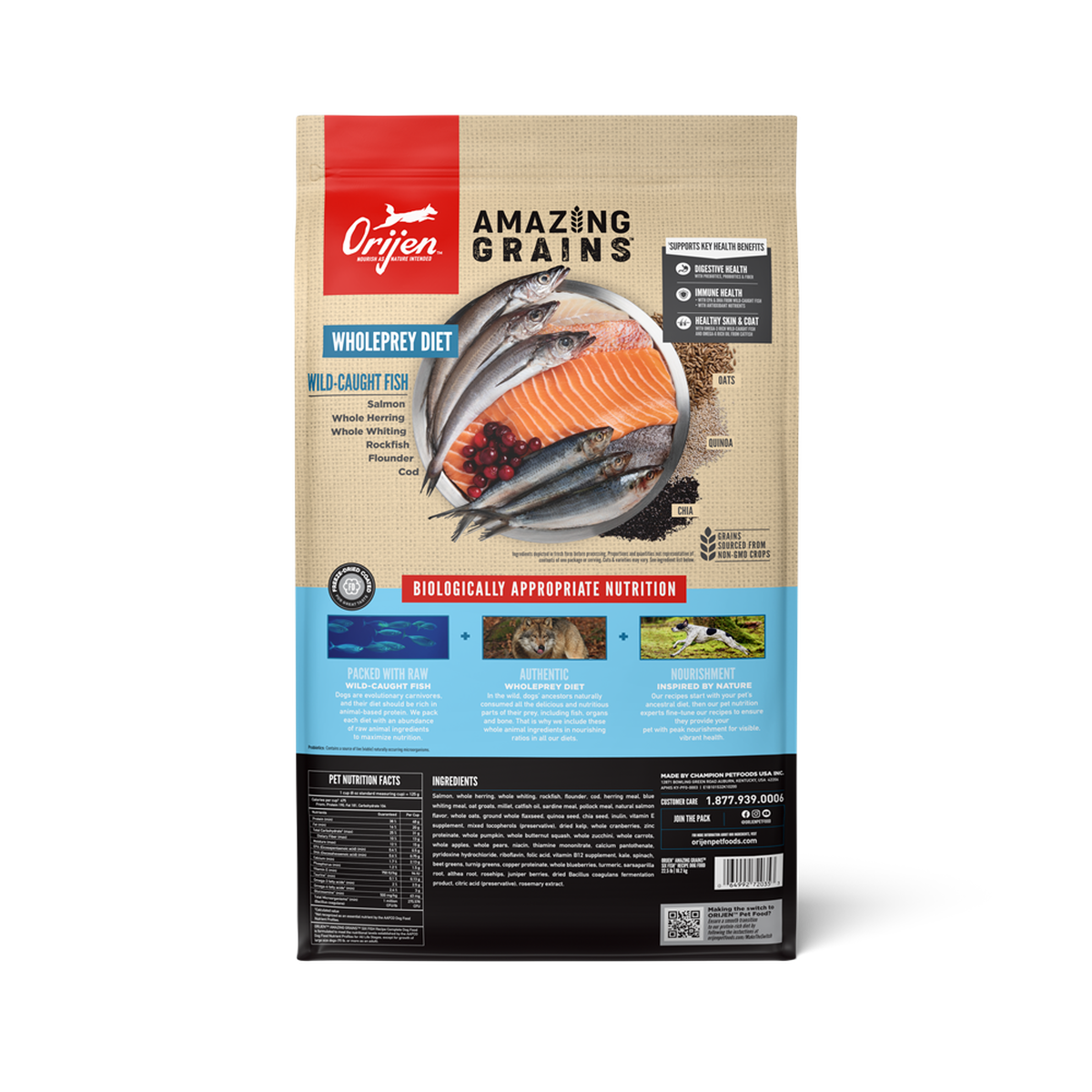 Orijen dog food package with 'Amazing Grains' label on a white background