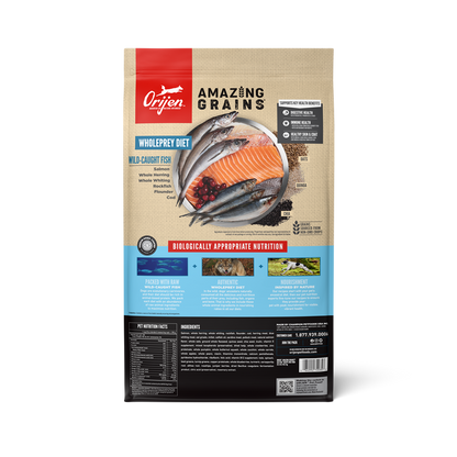 Orijen dog food package with 'Amazing Grains' label on a white background