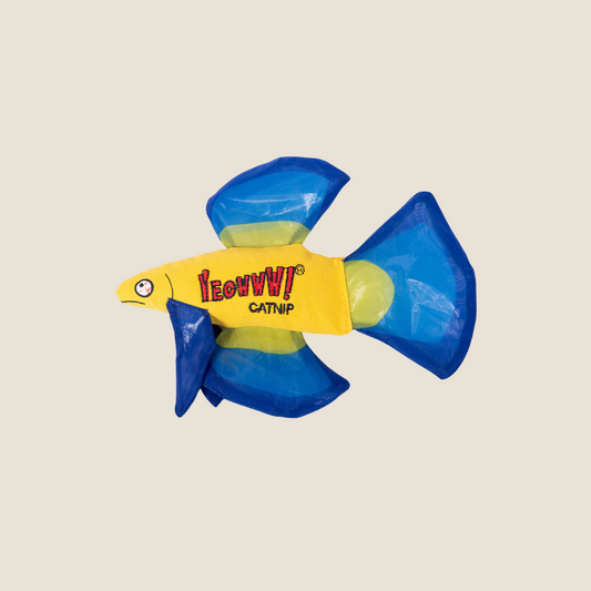 Yeowww! - Mo Betta Fish