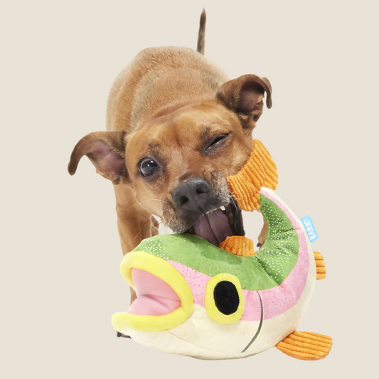 Bark - Brooke Trout