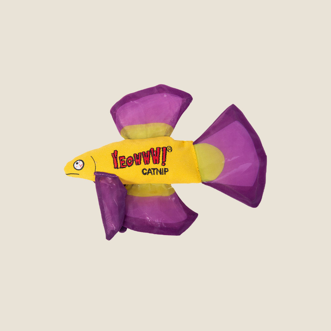 Yeowww! - Mo Betta Fish