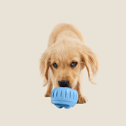 Woof - Blue Pupsicle