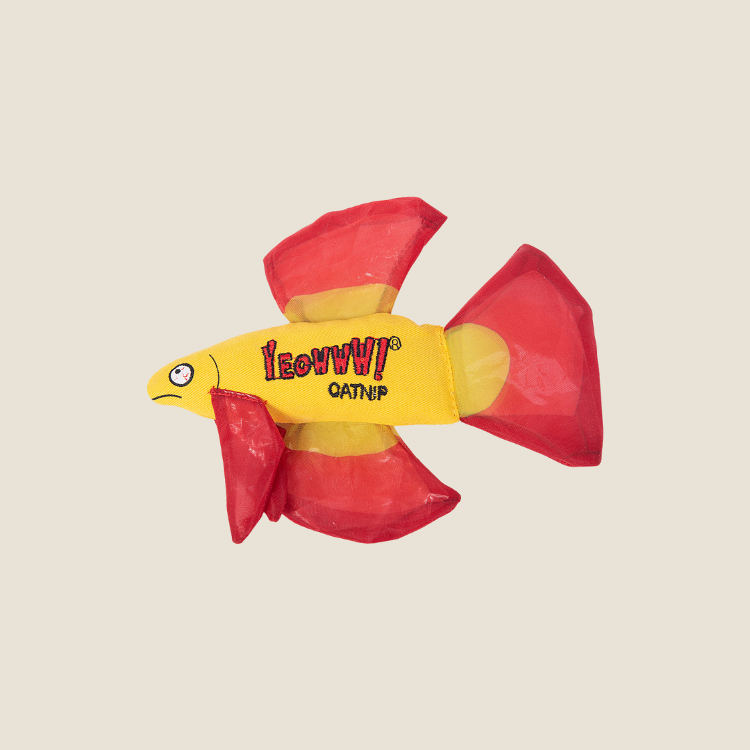 Yeowww! - Mo Betta Fish