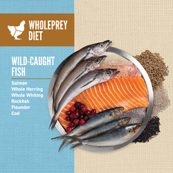 Promotional graphic for Wholeprey Diet wild-caught fish with a plate of salmon and other fish on a textured background.