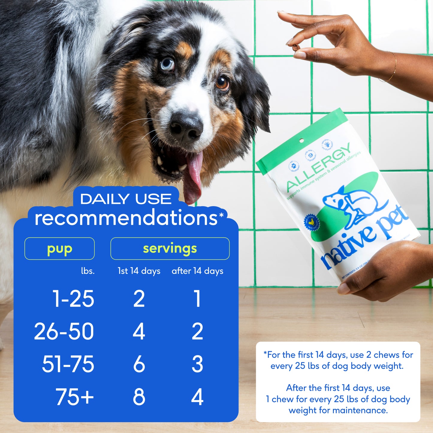 Native Pet - Air Dried Allergy Chews