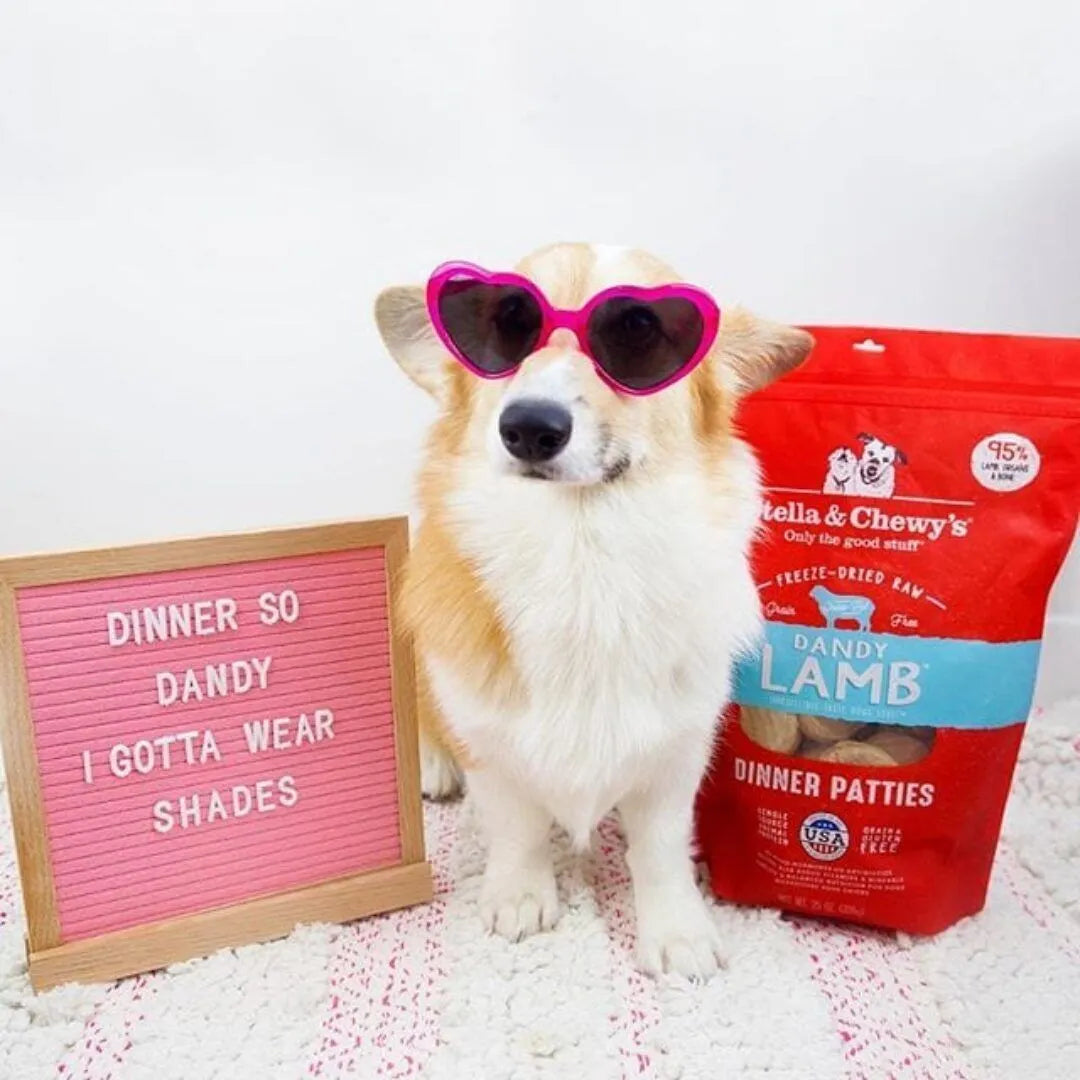 Stella Chewy s Freeze Dried Patties Dandy Lamb Recipe Polkadog
