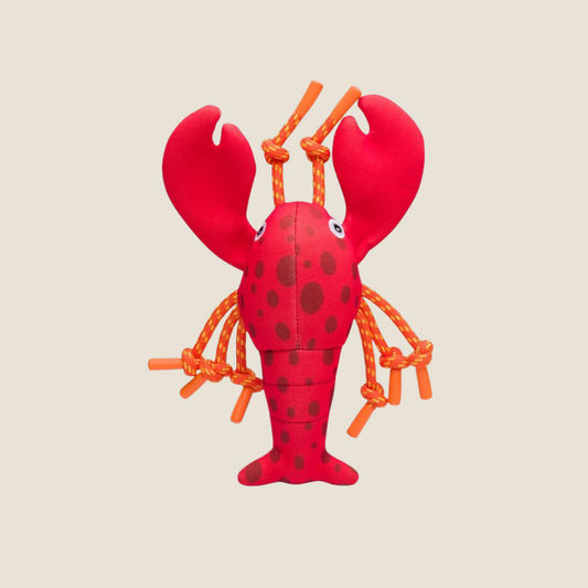 Fabdog - Floatie Lobster