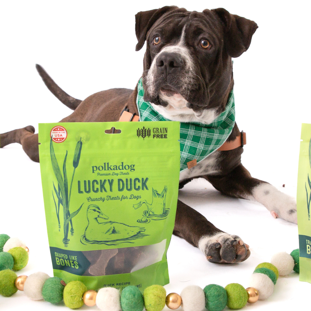 Lucky Duck Bone Shaped Dried Liver Treats Polkadog