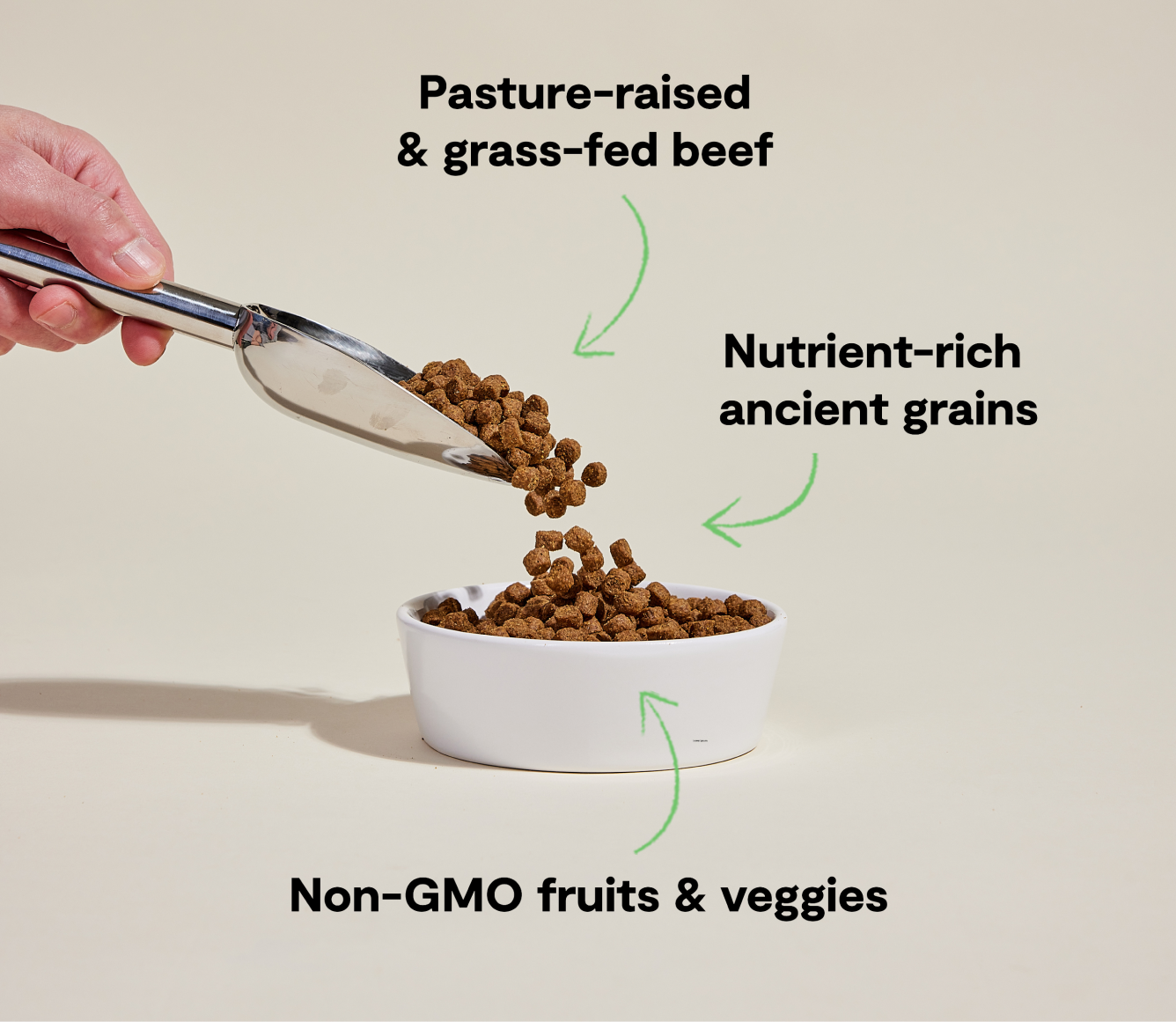 Dog food being poured into a bowl with text highlighting ingredients on a beige background