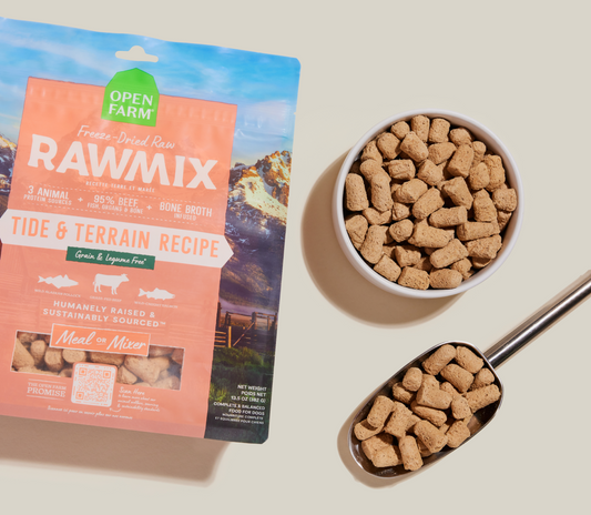 Rawmix Tide & Terrain recipe dog food packaging with a bowl and scoop of dog food on a light background