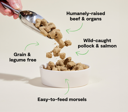 Dog food being scooped into a bowl with text highlighting ingredients