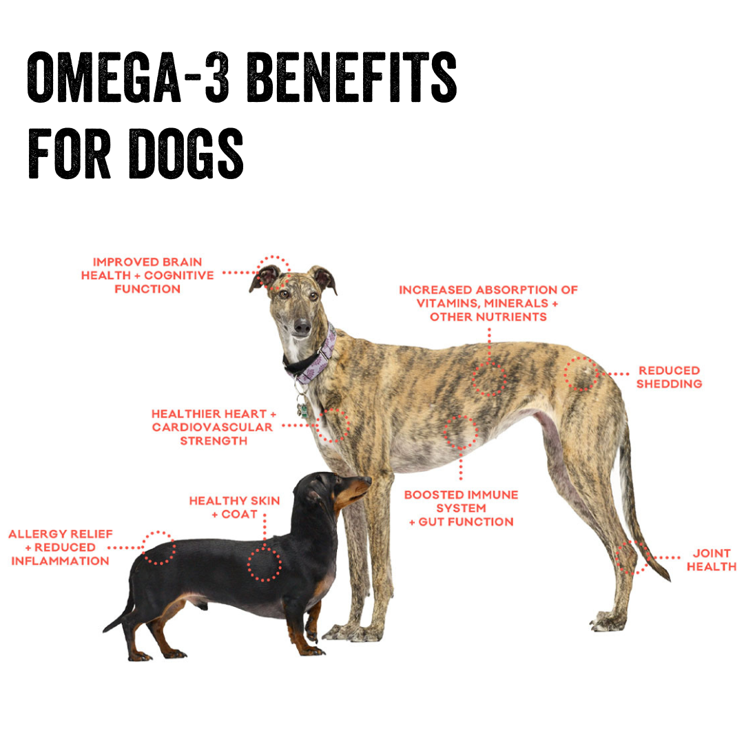 Cod Skin Dog Treats Polkadog