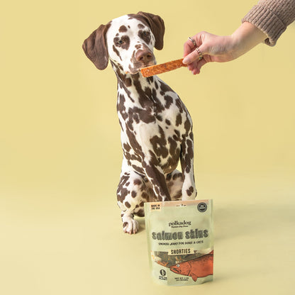Dog with a shiny coat waiting for a Polkadog salmon treat