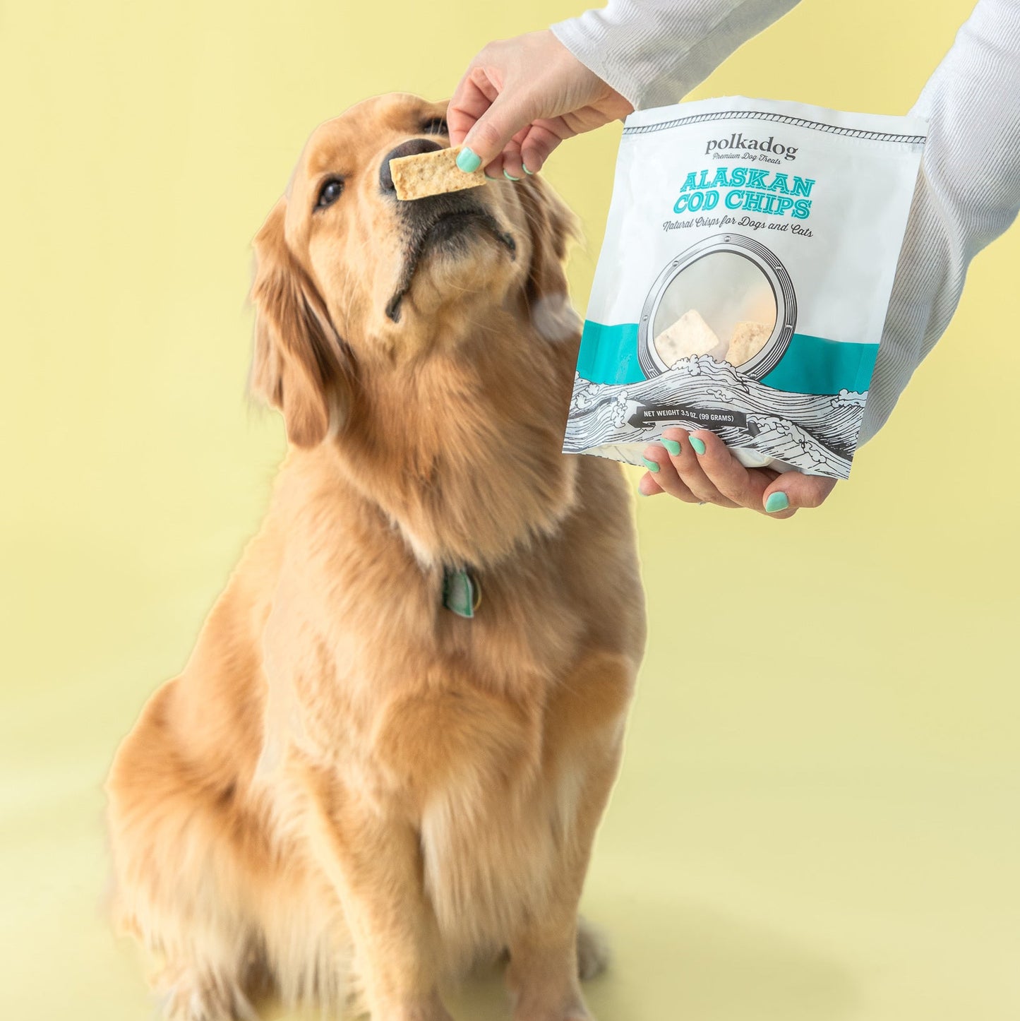 Five pouches of Polkadog New England fish dog treats