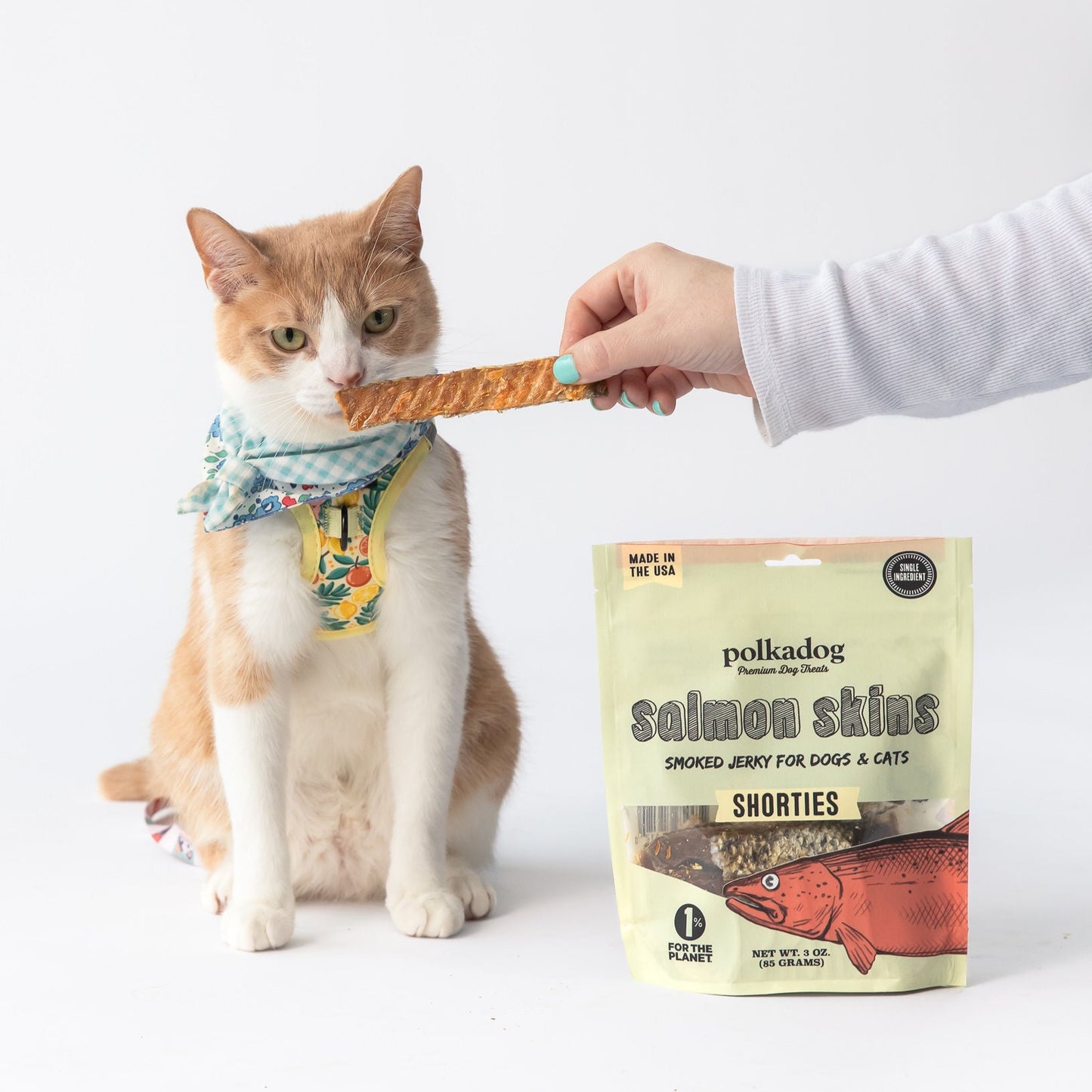 Polkadog Salmon Skins Shorties
