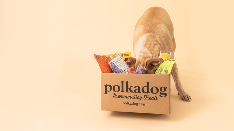 Corrugated Boxes packaging