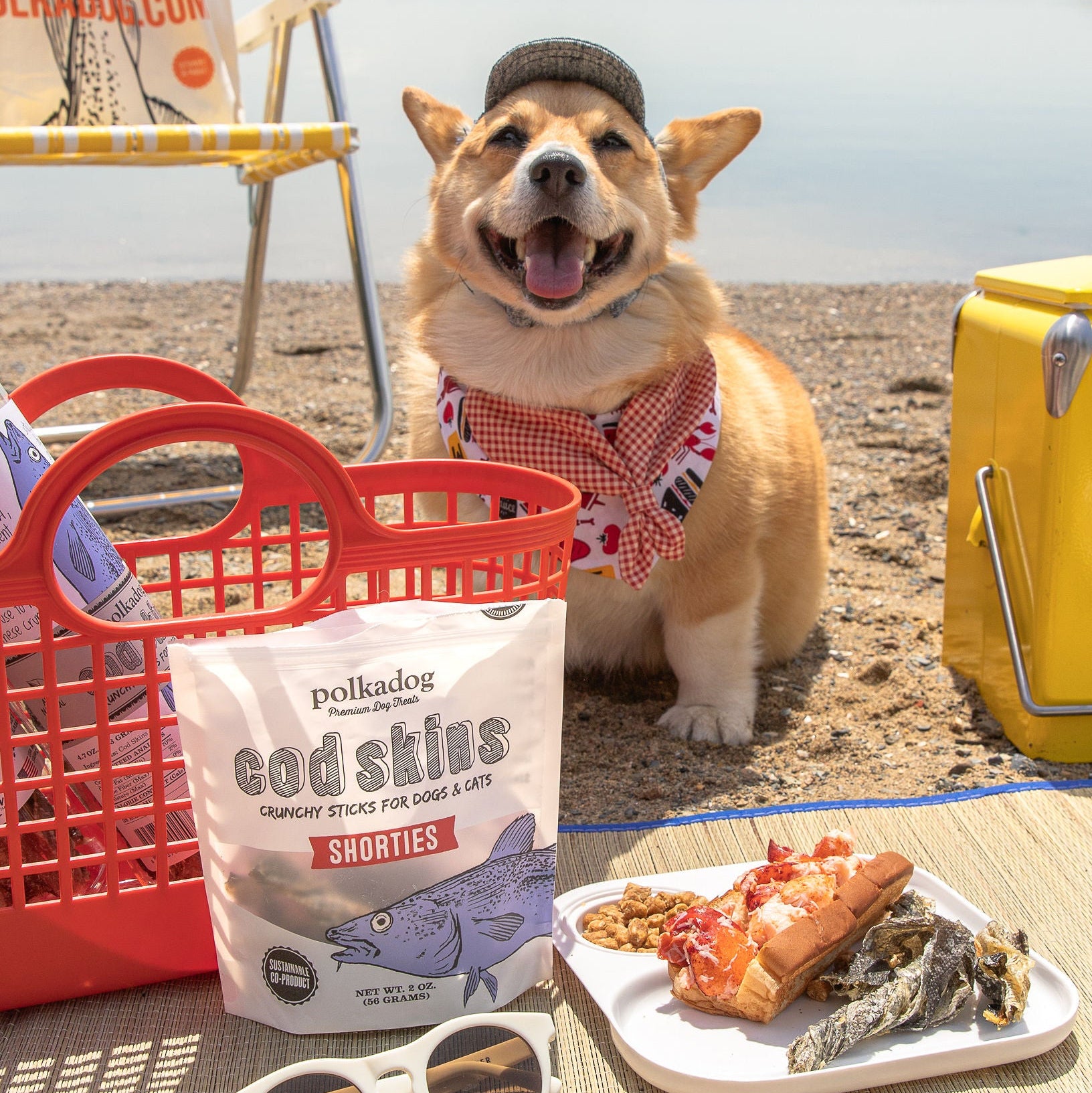 Three pouches of Polkadog summer dog treats arranged on sand