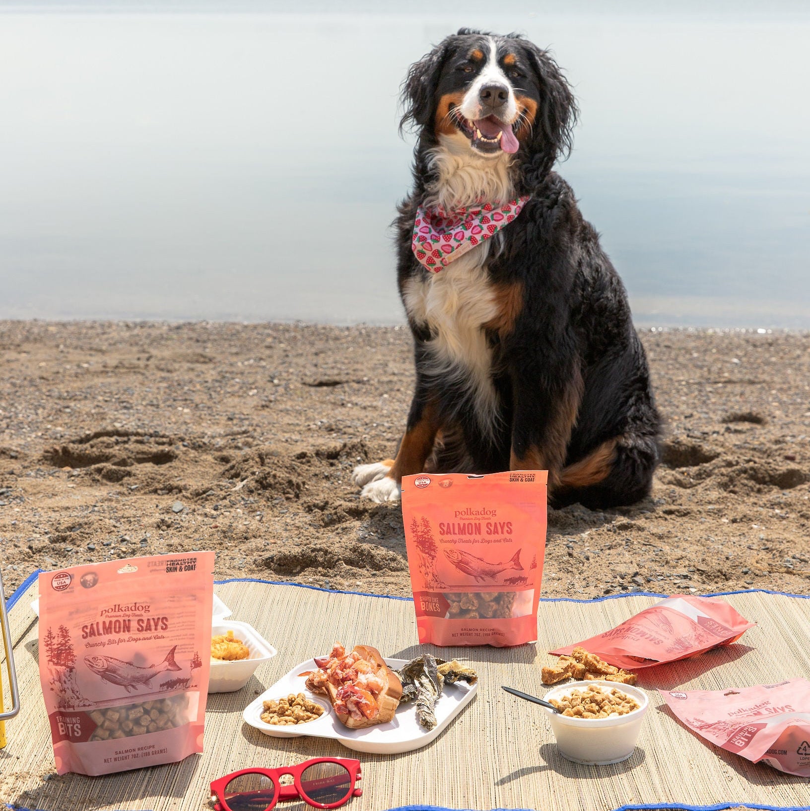 Four pouches of Polkadog salmon dog treats