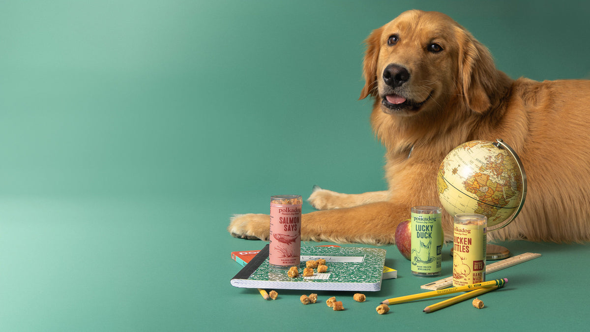 Polka Dog Bakery