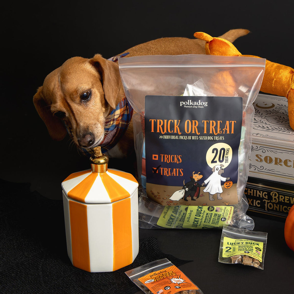 Polkadog Halloween Trick or Treat Sampler Pack