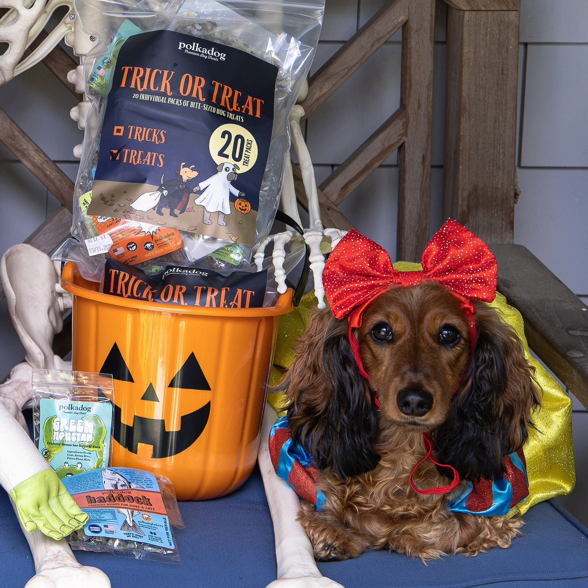 Polkadog Halloween Trick or Treat Sampler Pack