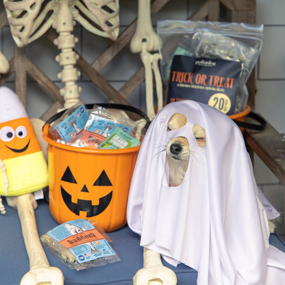 Polkadog Halloween Trick or Treat Sampler Pack