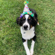Load image into Gallery viewer, Huxley &amp; Kent - Superstars Party Time Hat
