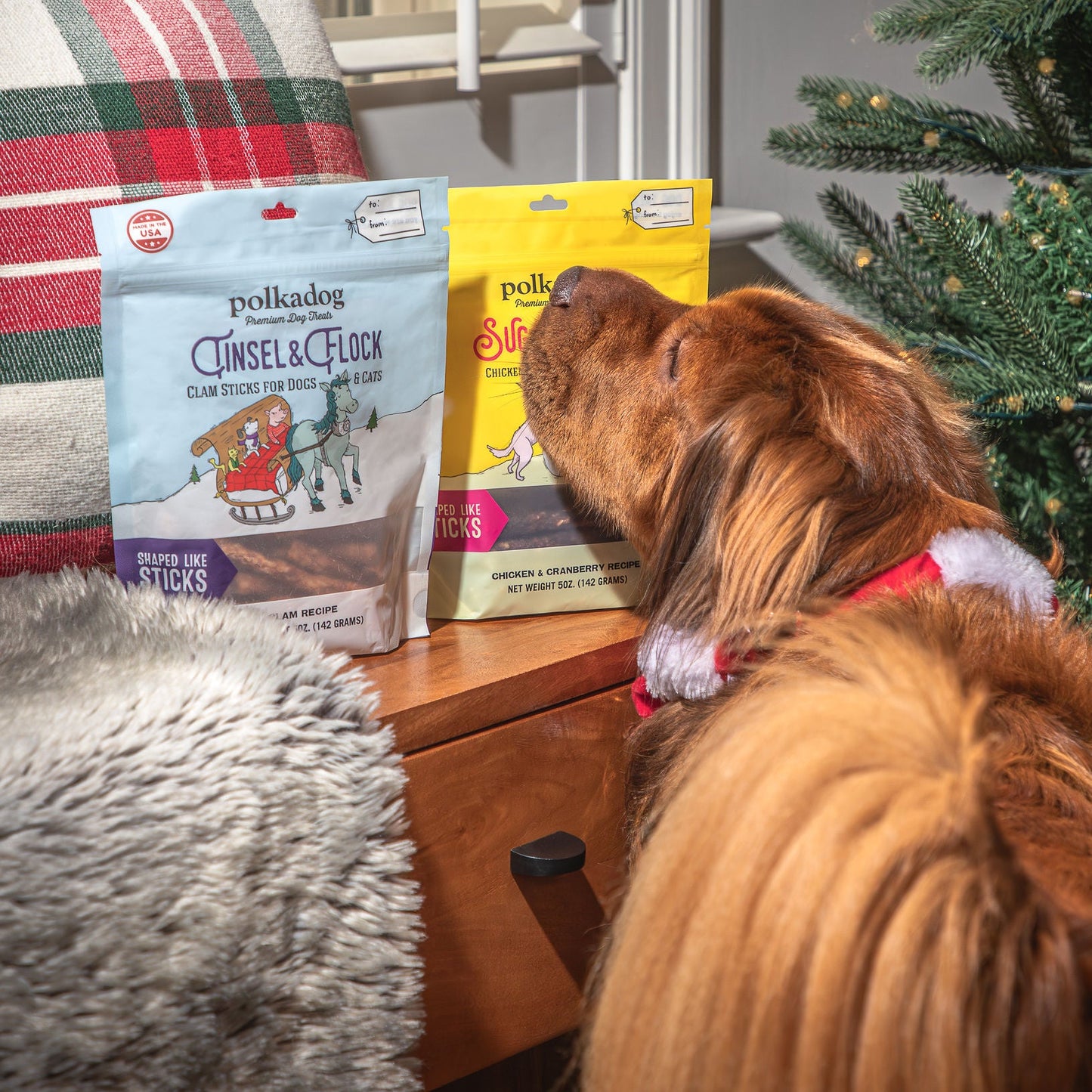 Polkadog Sugar & Spice