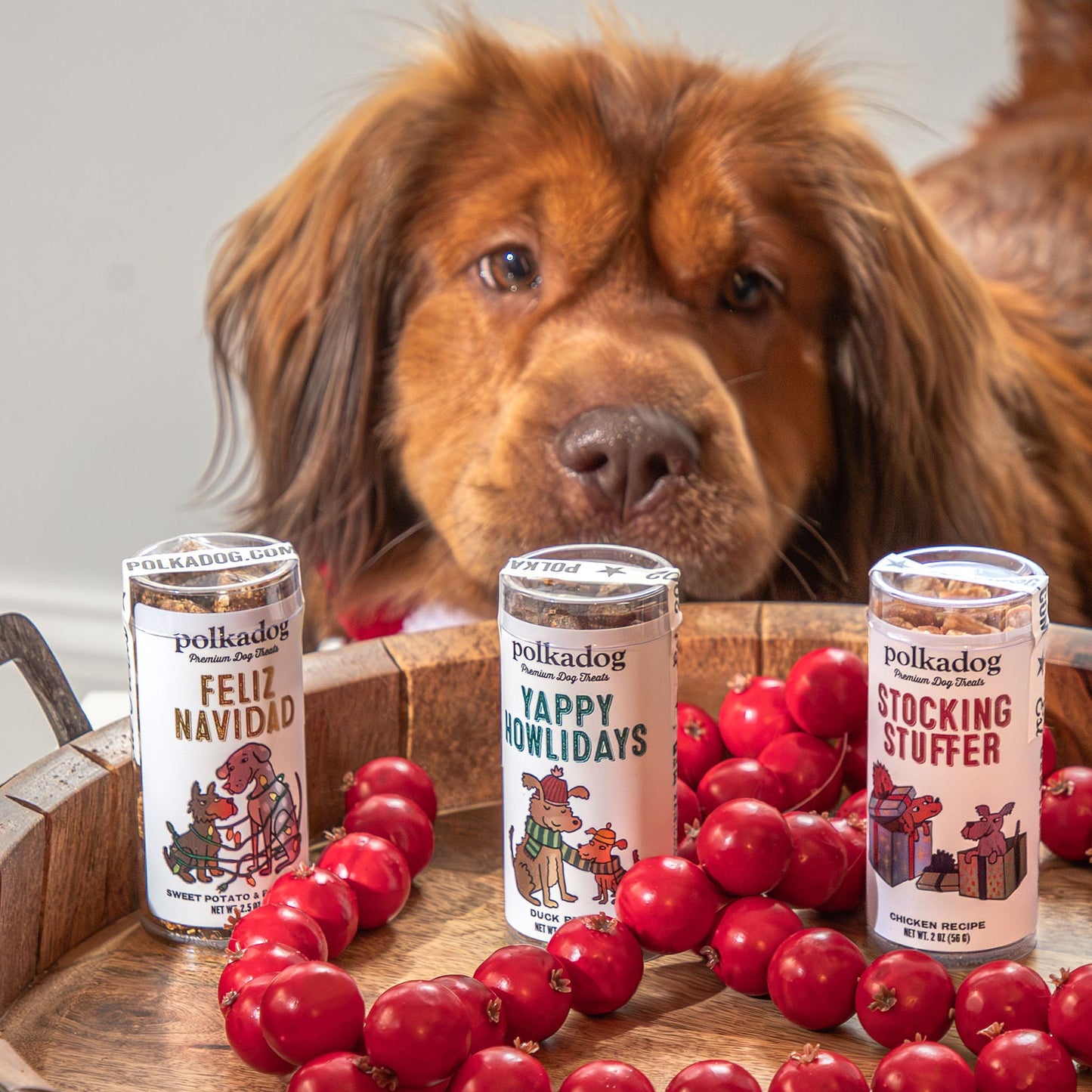 Polkadog Yappy Howlidays