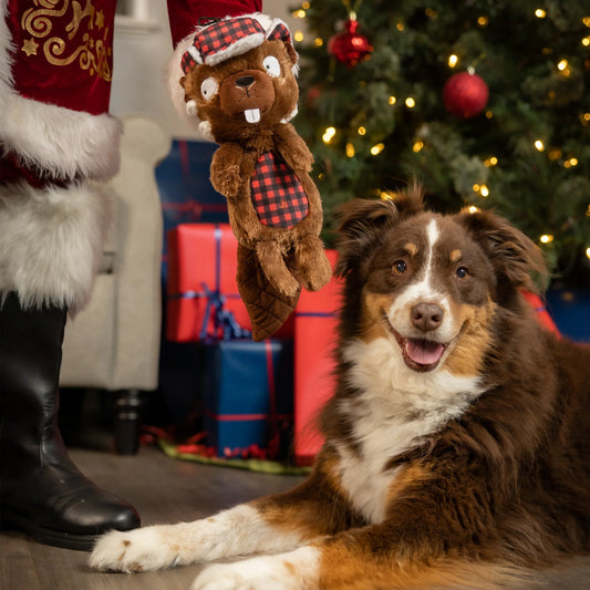 Huxley & Kent - Ralphie Beaver