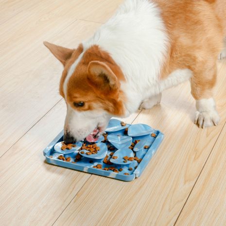 Tall Tails - Rock Foraging Mat