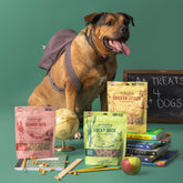 Polka Dog Bakery