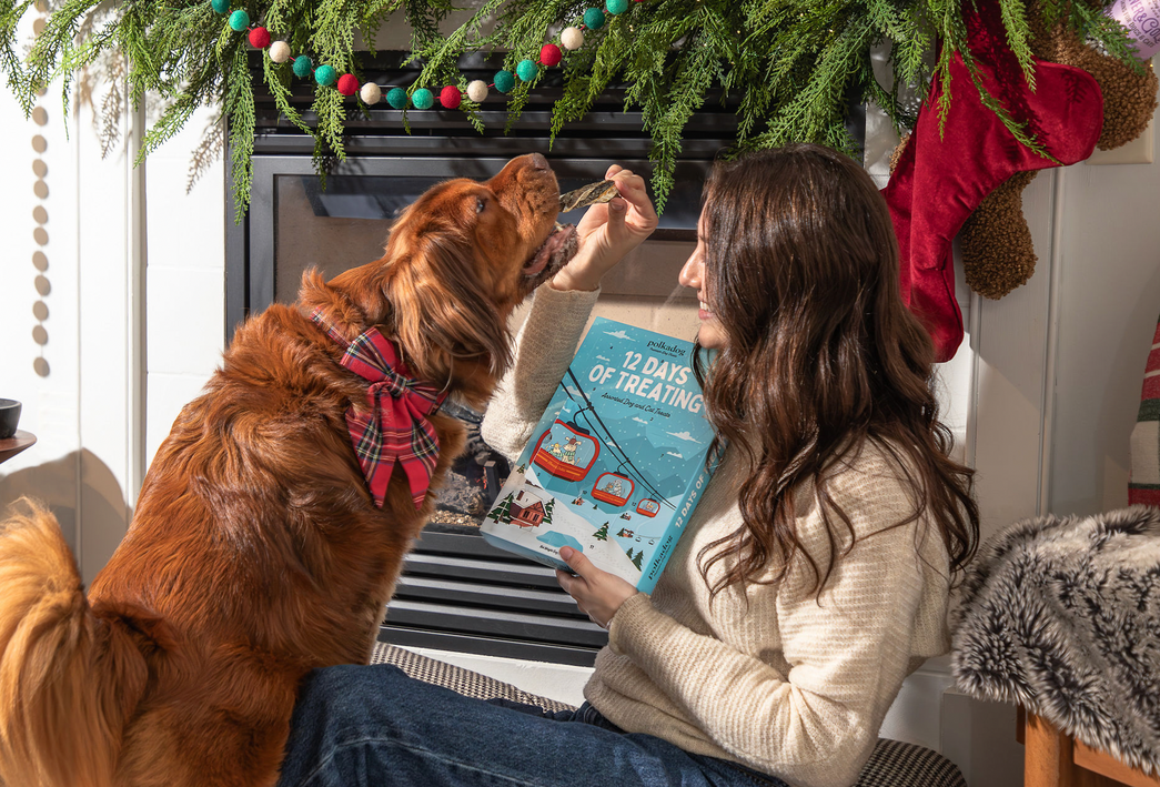 Healthy, Handmade, Holiday-Ready: 12 Days of Treating Calendar